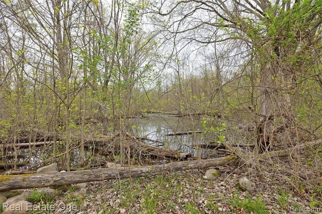 3960 Baldwin Road, Ortonville, MI 48462
