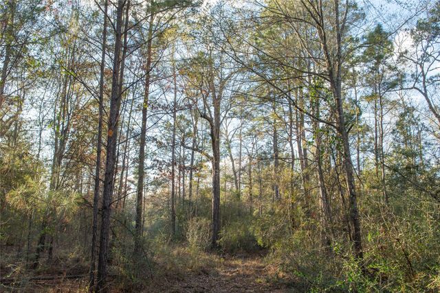 0 Chatfield Road, Livingston, TX 77351