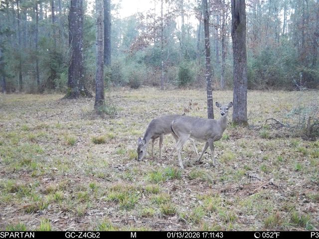 0 Chatfield Road, Livingston, TX 77351