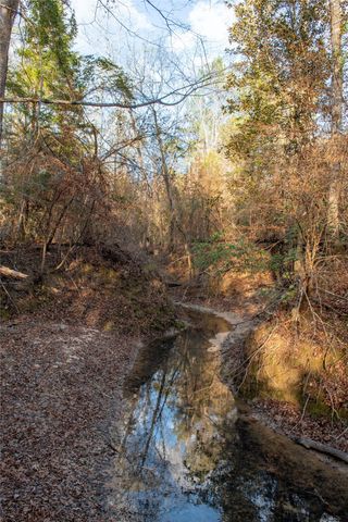 0 Chatfield Road, Livingston, TX 77351