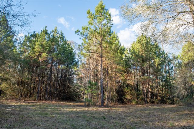 0 Chatfield Road, Livingston, TX 77351