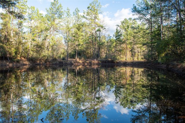 0 Chatfield Road, Livingston, TX 77351