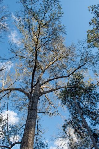 0 Chatfield Road, Livingston, TX 77351