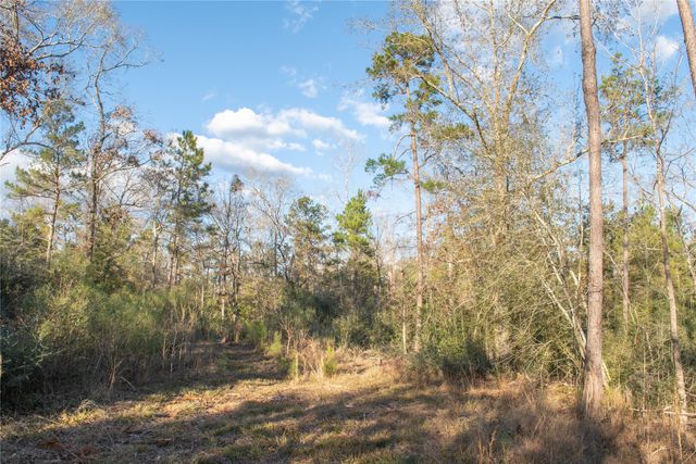 0 Chatfield Road, Livingston, TX 77351