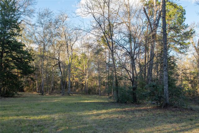 0 Chatfield Road, Livingston, TX 77351