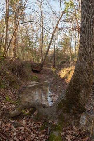 0 Chatfield Road, Livingston, TX 77351