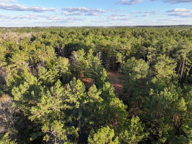 0 Chatfield Road, Livingston, TX 77351