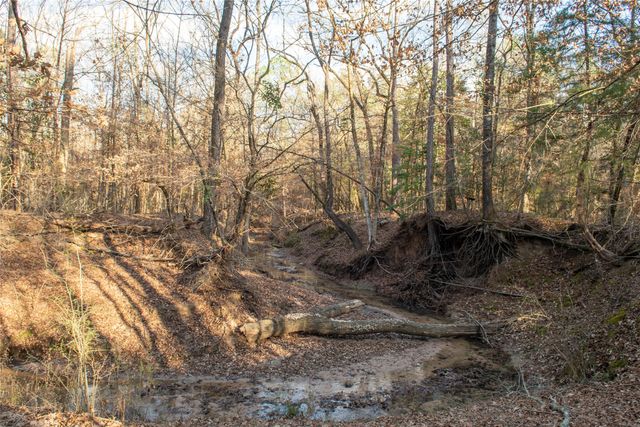 0 Chatfield Road, Livingston, TX 77351