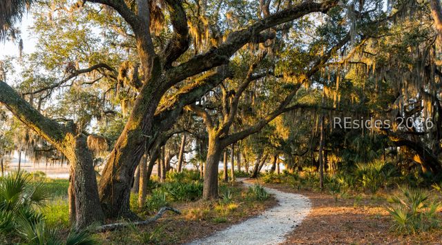 22 Inkberry Street, Bluffton, SC 29910