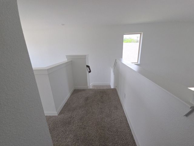 2903 Doggett Drive, Forney, TX 75126