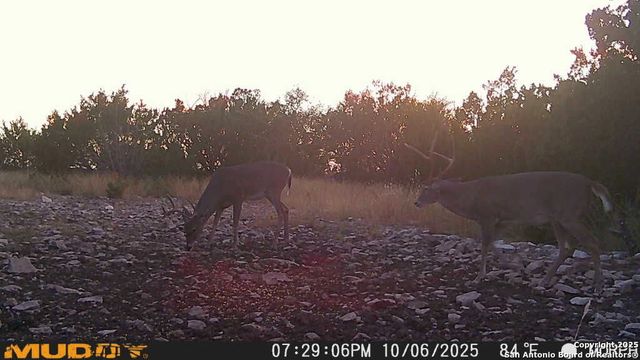 840 sd 23040, Rocksprings, TX 78880