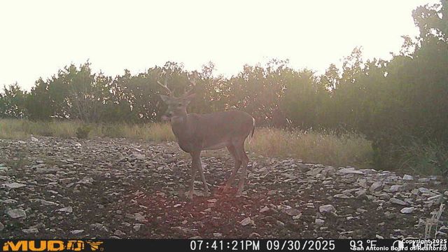 840 sd 23040, Rocksprings, TX 78880