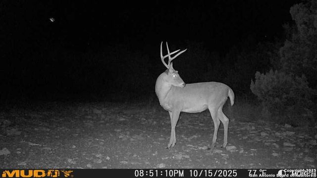 840 sd 23040, Rocksprings, TX 78880