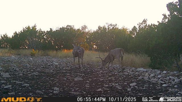 840 sd 23040, Rocksprings, TX 78880