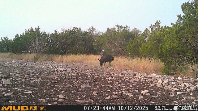 840 sd 23040, Rocksprings, TX 78880