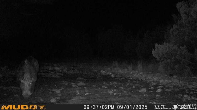 840 sd 23040, Rocksprings, TX 78880