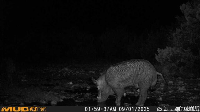 840 sd 23040, Rocksprings, TX 78880