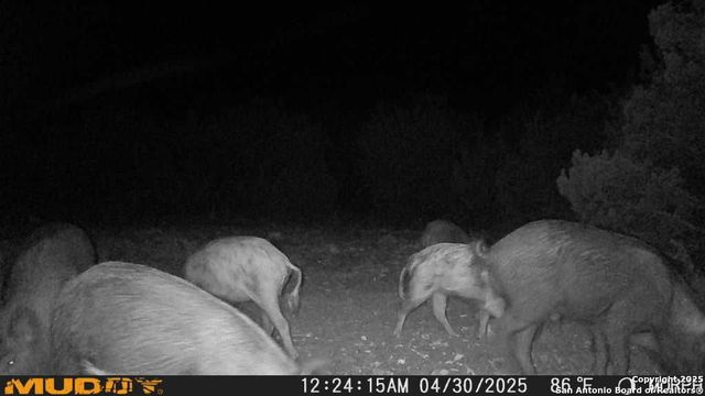 840 sd 23040, Rocksprings, TX 78880