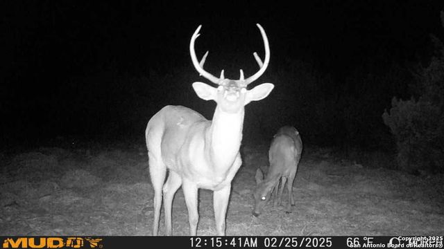 840 sd 23040, Rocksprings, TX 78880