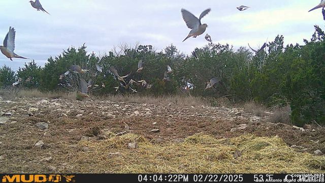 840 sd 23040, Rocksprings, TX 78880