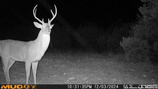 840 sd 23040, Rocksprings, TX 78880