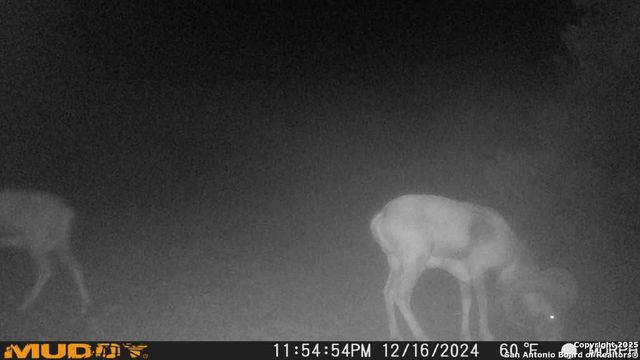 840 sd 23040, Rocksprings, TX 78880