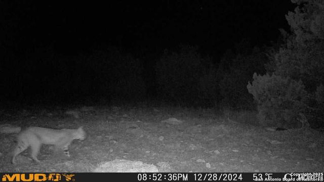 840 sd 23040, Rocksprings, TX 78880