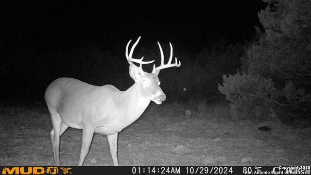 840 sd 23040, Rocksprings, TX 78880