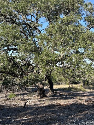 840 sd 23040, Rocksprings, TX 78880