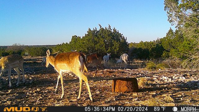 840 sd 23040, Rocksprings, TX 78880