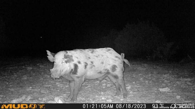 840 sd 23040, Rocksprings, TX 78880