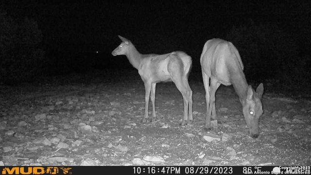 840 sd 23040, Rocksprings, TX 78880