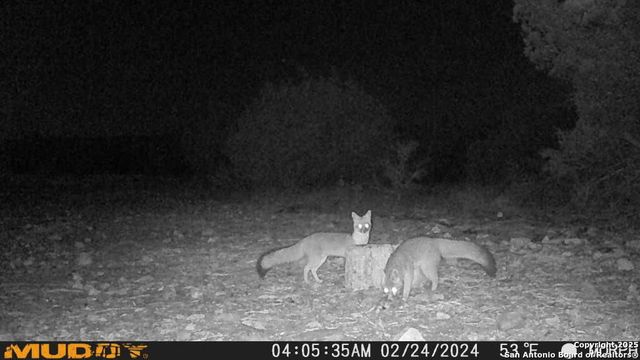 840 sd 23040, Rocksprings, TX 78880