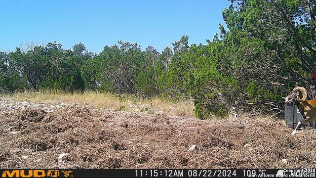 840 sd 23040, Rocksprings, TX 78880