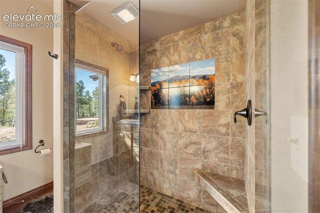 131 Paradiso Road, Divide, CO 80814