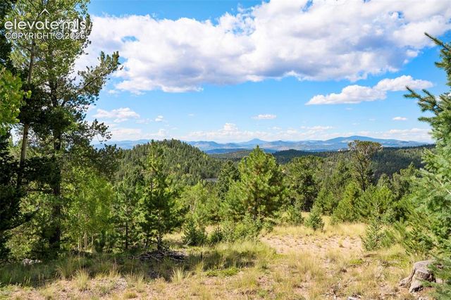 131 Paradiso Road, Divide, CO 80814