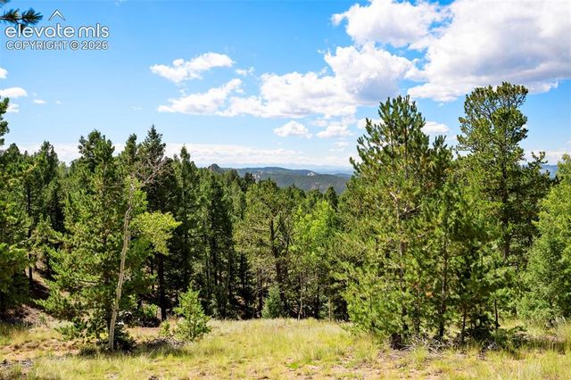 131 Paradiso Road, Divide, CO 80814