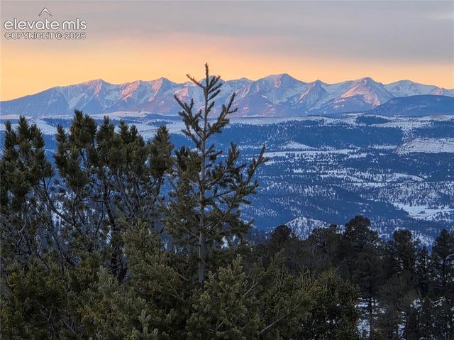 131 Paradiso Road, Divide, CO 80814