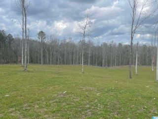 0004 TRUMAN ALDRICH PARKWAY, West Blocton, AL 35184
