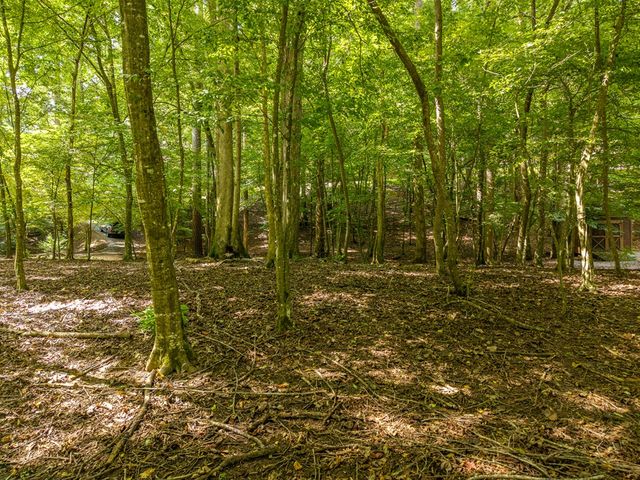 550 Navaho Way, Ellijay, GA 30540