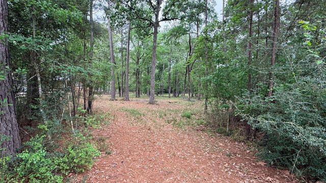 225 Pelican Street, Magnolia, TX 77355