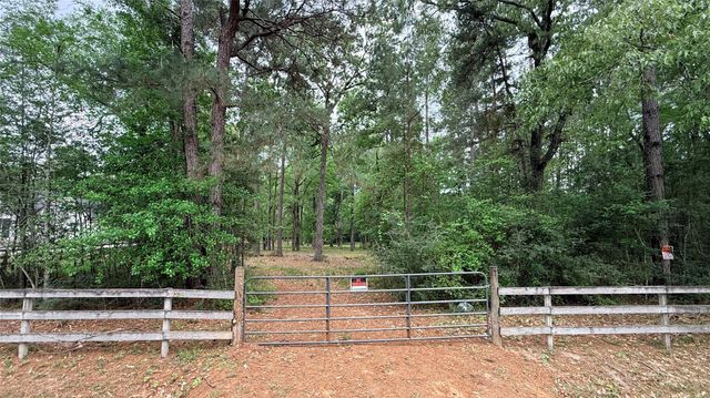 225 Pelican Street, Magnolia, TX 77355