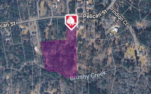 225 Pelican Street, Magnolia, TX 77355