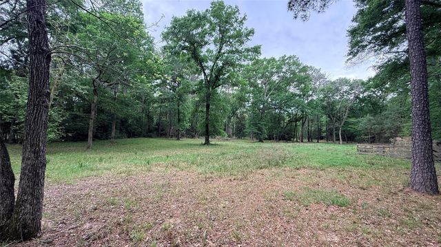 225 Pelican Street, Magnolia, TX 77355