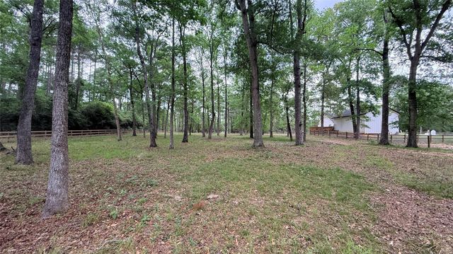 225 Pelican Street, Magnolia, TX 77355