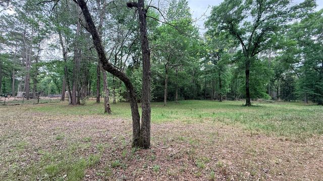 225 Pelican Street, Magnolia, TX 77355