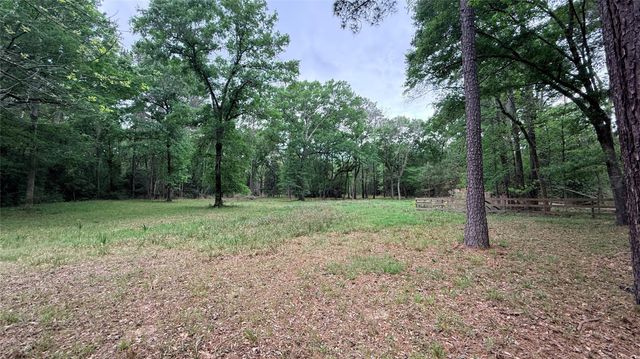 225 Pelican Street, Magnolia, TX 77355