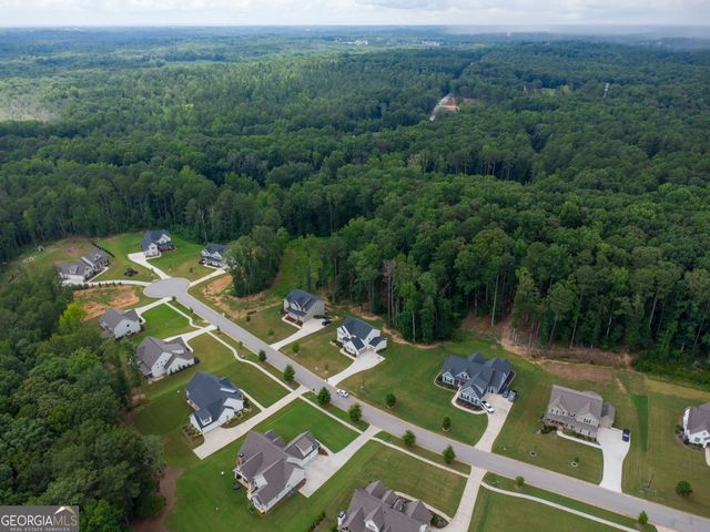 117 Brinley Drive, Sharpsburg, GA 30277