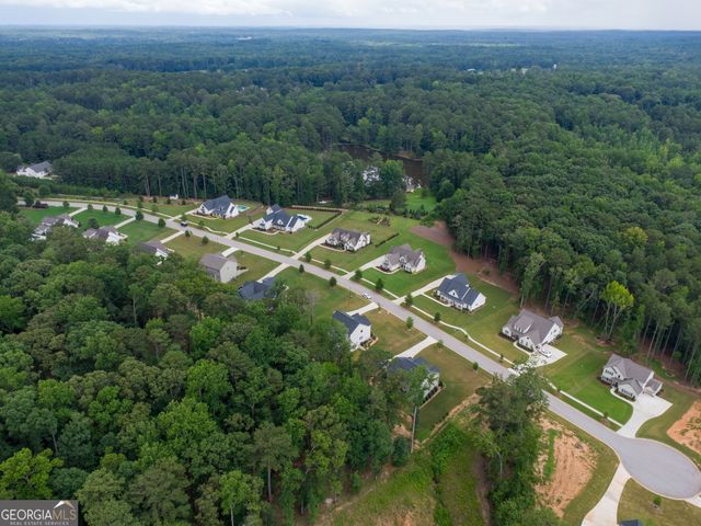 117 Brinley Drive, Sharpsburg, GA 30277