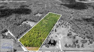 15.5 AC Elim Church Road, Ludowici, GA 31316